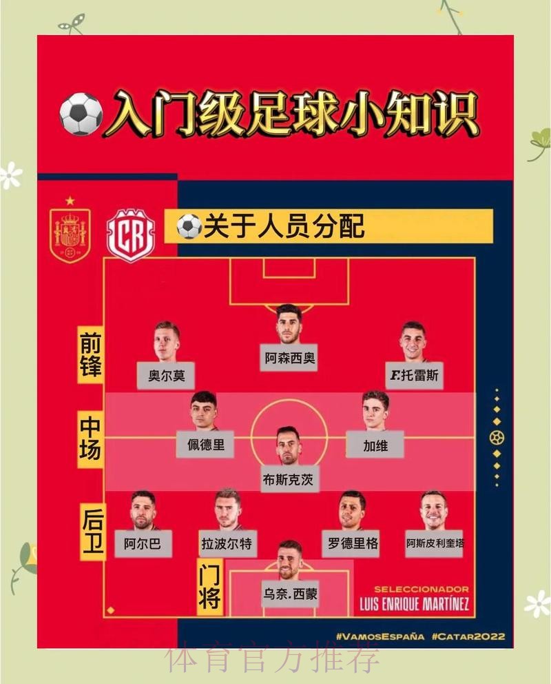 深入解析世界杯预测教程技巧与方法